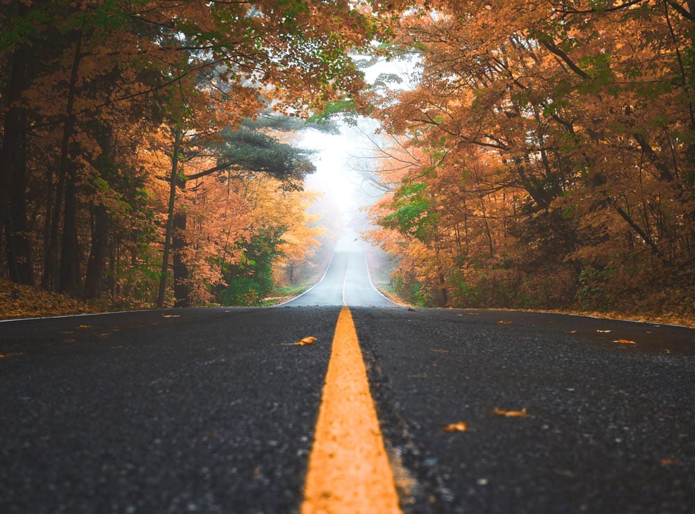 paved road in autumn